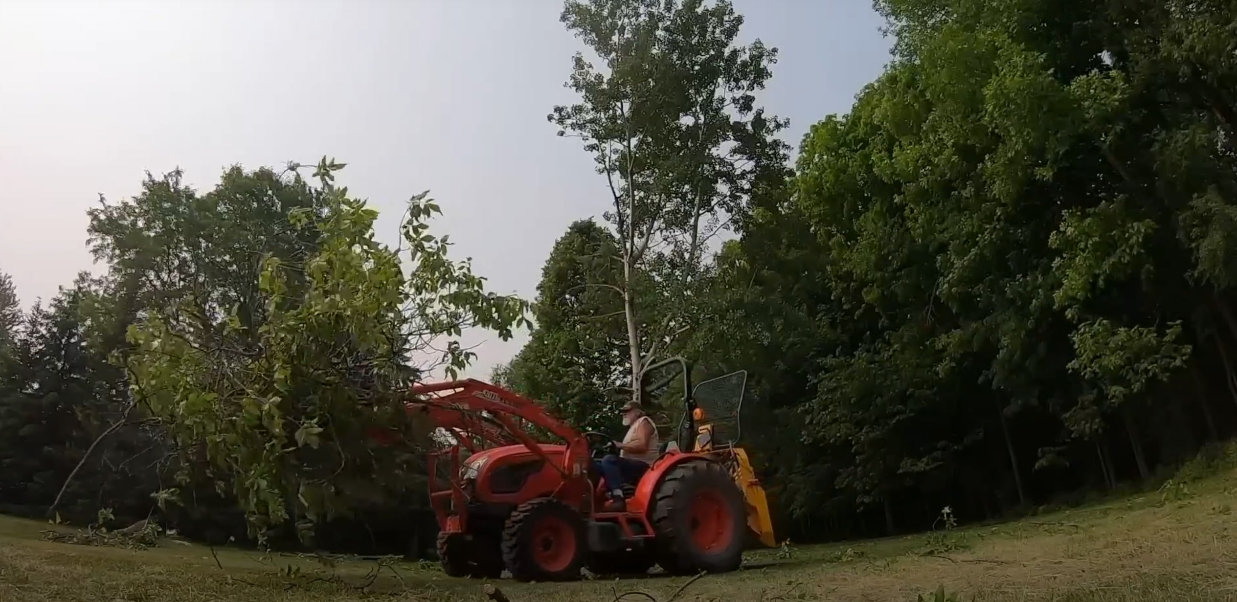 Land & Lot Clearing service in Richfield, MN